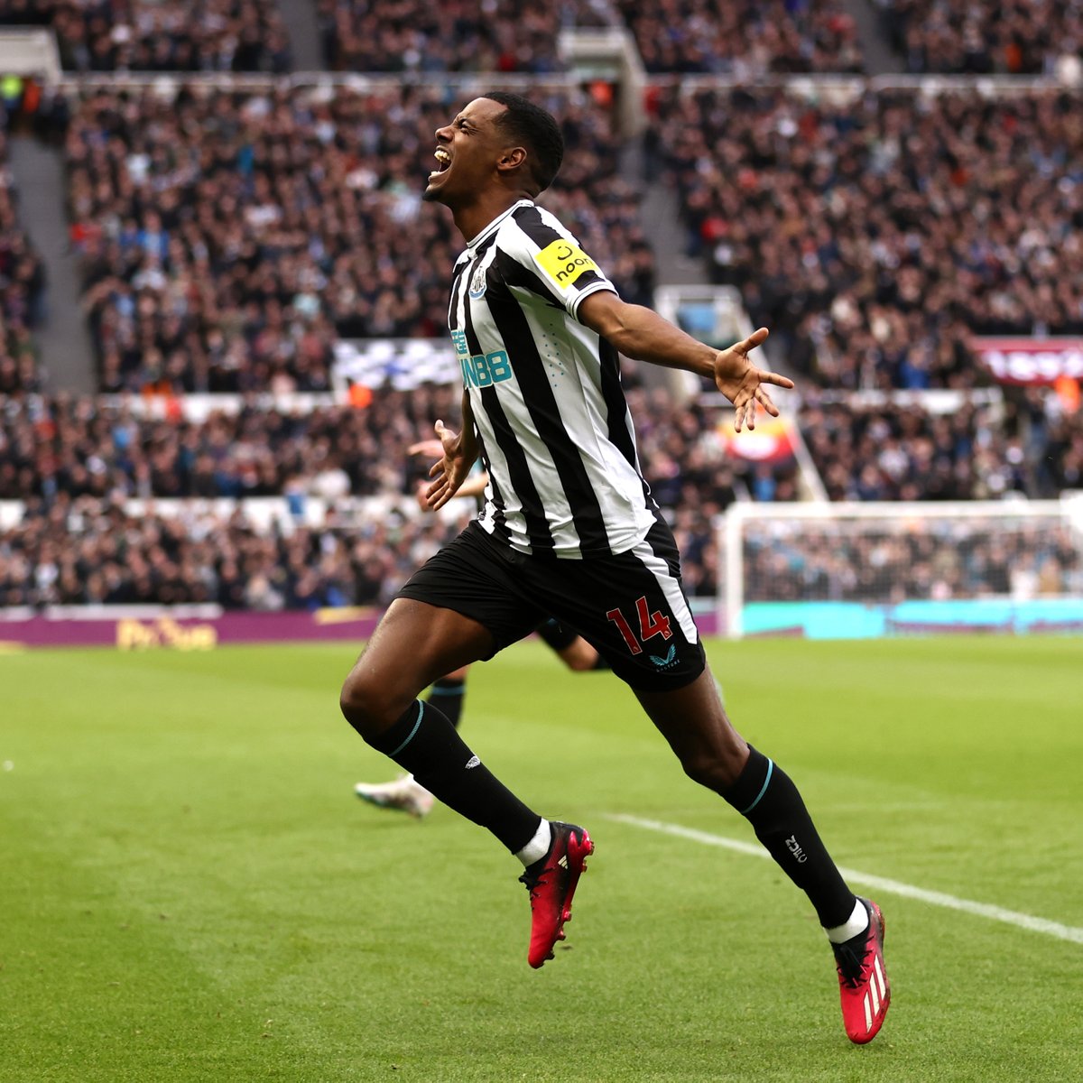 Swedishhuman On Twitter RT NUFC A Very Good Morning 