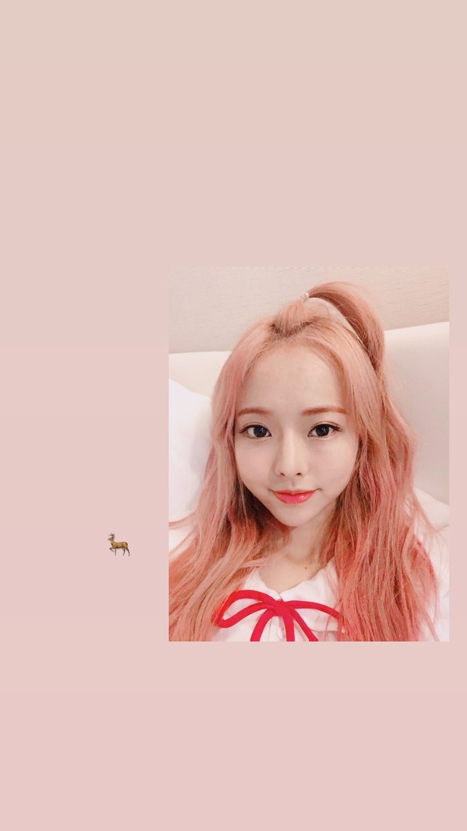 orrery_nim's tweet photo. Vivi Instagram Story
1: 🦌
3: sneaking out during 1/3 filming in Hong Kong
4: end of trip down memory lane https://t.co/gtIUHIs4mL