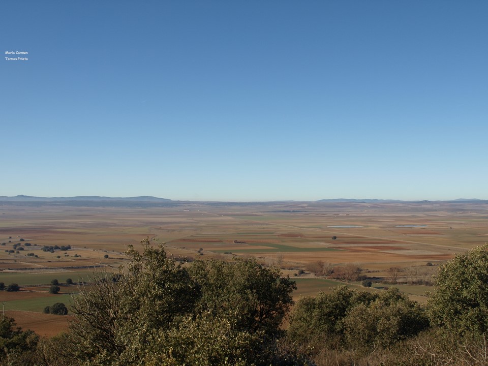 CIGALLOCANTA's tweet photo. Temperatura a las 8h 8.7°
Buen y feliz día para todos
#Balsas de #Santed y #Used
Lunes 13 de marzo 2023 https://t.co/01pbXTJs75
