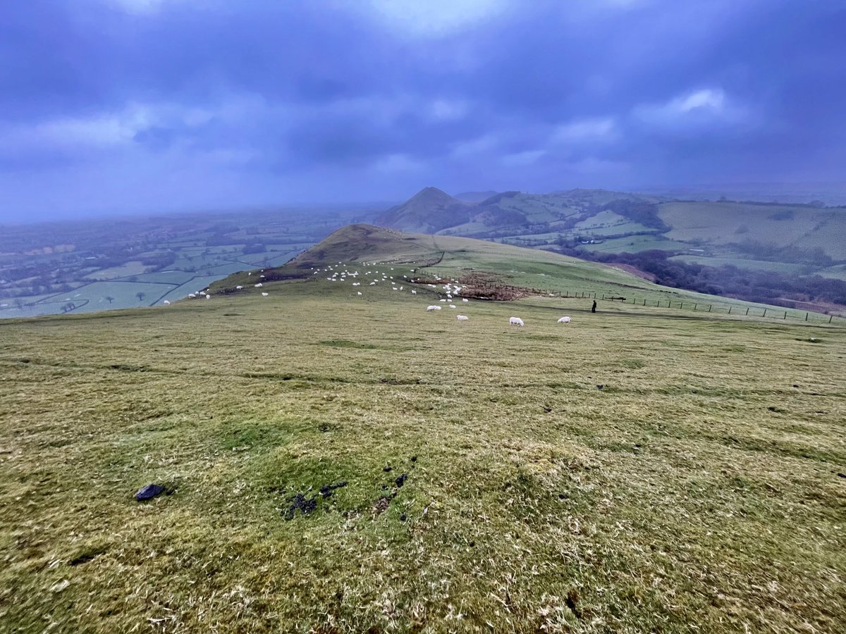 Aneedtopaint's tweet photo. Blustery and rainy earlier on this morning’s walk, coming down from the #Caradoc something wild and romantic walking on these days, very Heathcliff &amp; Cathy. #EmilyBronte #Shropshire https://t.co/IW29fs28er