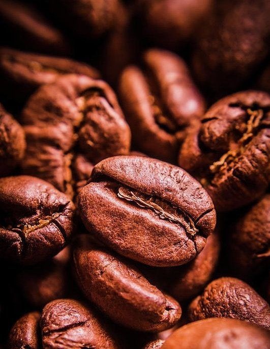 KeebFreshFarms's tweet photo. 4/4 : . Uganda's coffee success story is a testament to the power of community, innovation, and hard work. Join us in raising a cup of delicious Ugandan coffee and celebrating the impact it has had on the country and the world. #UgandaCoffeeStory #Coffeefarming #Agriculture https://t.co/KYTSqPoHQE