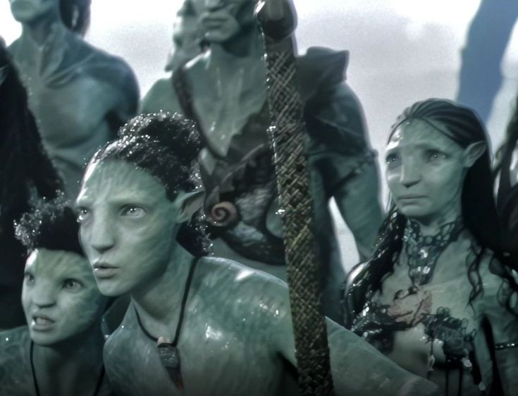 they look so pretty in this picture