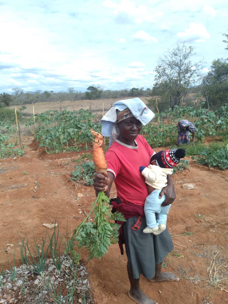 The contribution of women to agriculture and food security in rural communities should not be overlooked. As we are in #WomensHistoryMonth, we continue to celebrate and appreciate #WomenInAgriculture #Womensmonth #WomenEmpowerment #equities