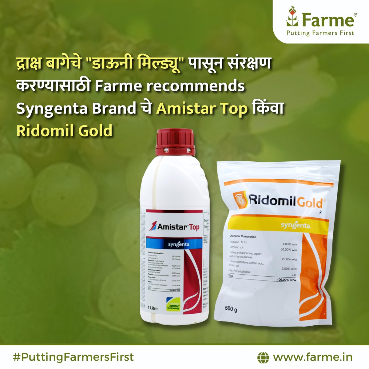farmeofficial's tweet photo. Farme तुम्हाला डाऊनी मिल्ड्यू (केवडा रोग) वेळेवर ओळखण्यात आणि प्रतिबंधित करण्यात मदत करते.
त्यामुळे आता तुम्ही तुमची सर्व चिंता https://t.co/REwQjj2wU5 वर सोडू शकता!

लगेच कॉल करा +91 8441844135 आणि मिळवा मोफत शेती सल्ला व मार्गदर्शन.

#Downy #डाऊनी #द्राक्षे #grapes #fungicide https://t.co/2P2t5g3huu