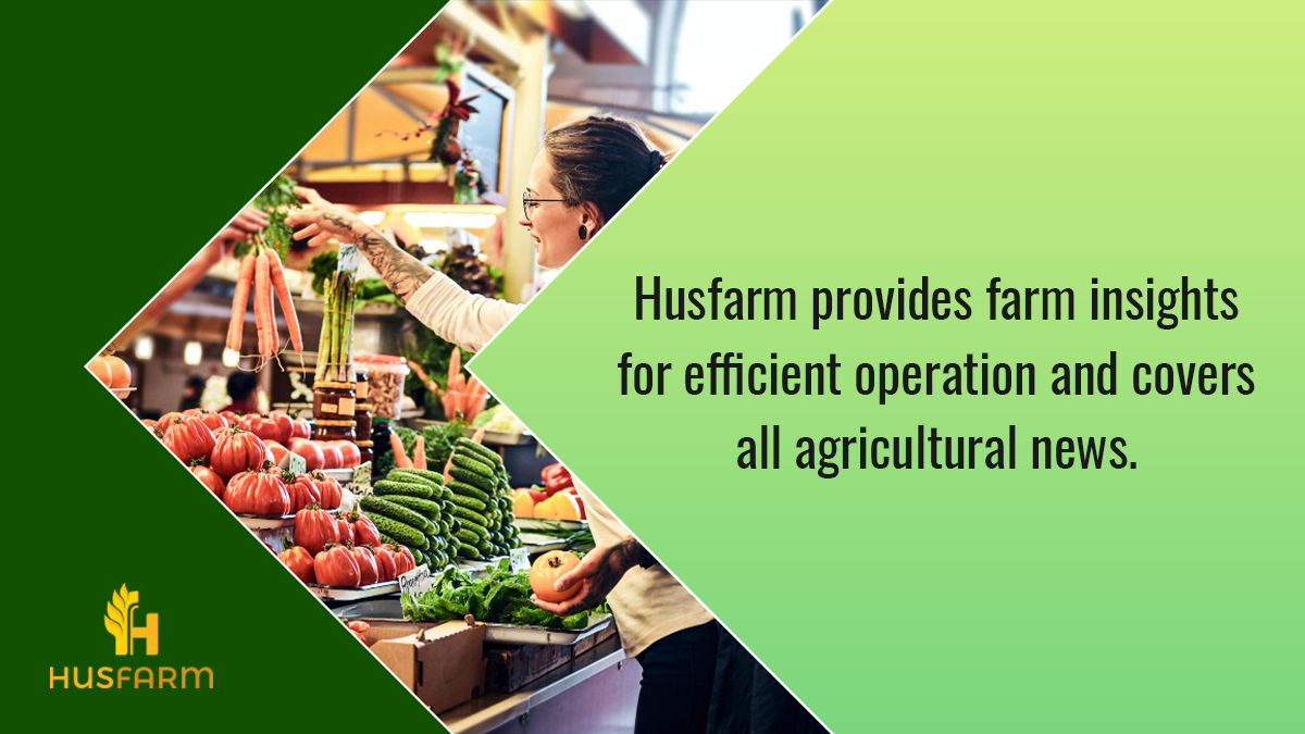 HusfarmP's tweet photo. Looking to stay up-to-date on the latest agricultural news and events? Look no further than our Husfarm! 🌿✨🤔
Our portal provides a one-stop-shop for all the latest news, updates, and trends in the world of agriculture.✅🌸👨‍🌾👩‍🌾
Visit ➡ https://t.co/exf7D176Md https://t.co/5FRM8hr3Ne