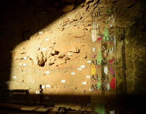 Subsilience ERC Project tweet media