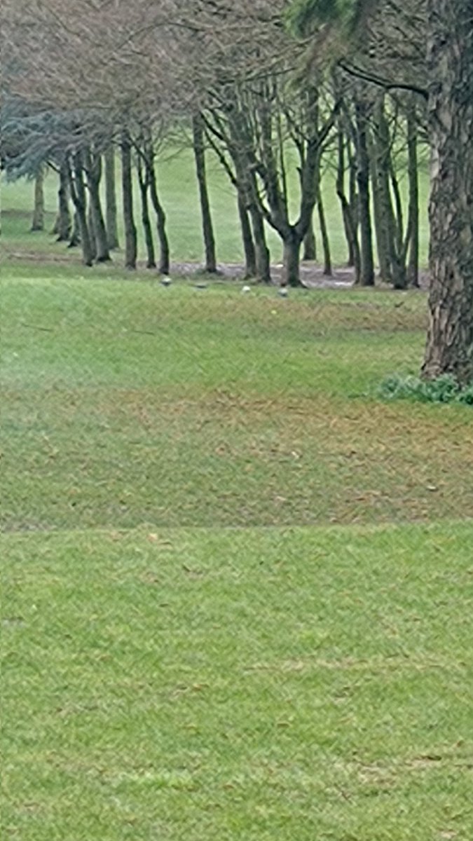 Water lying on the fairways and some greens do course will remain closed, unfortunately. The greenkeepers will assess on a daily basis and we'll open the course as soon as it is playable.