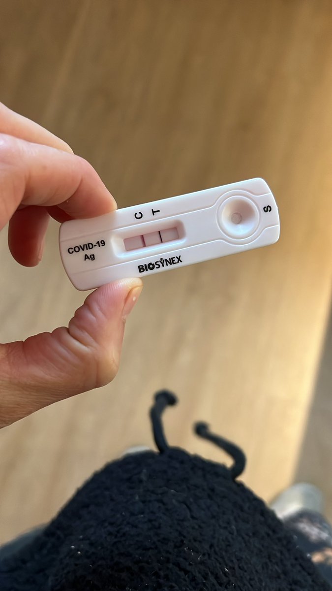 | Monique de Raad | tweet media