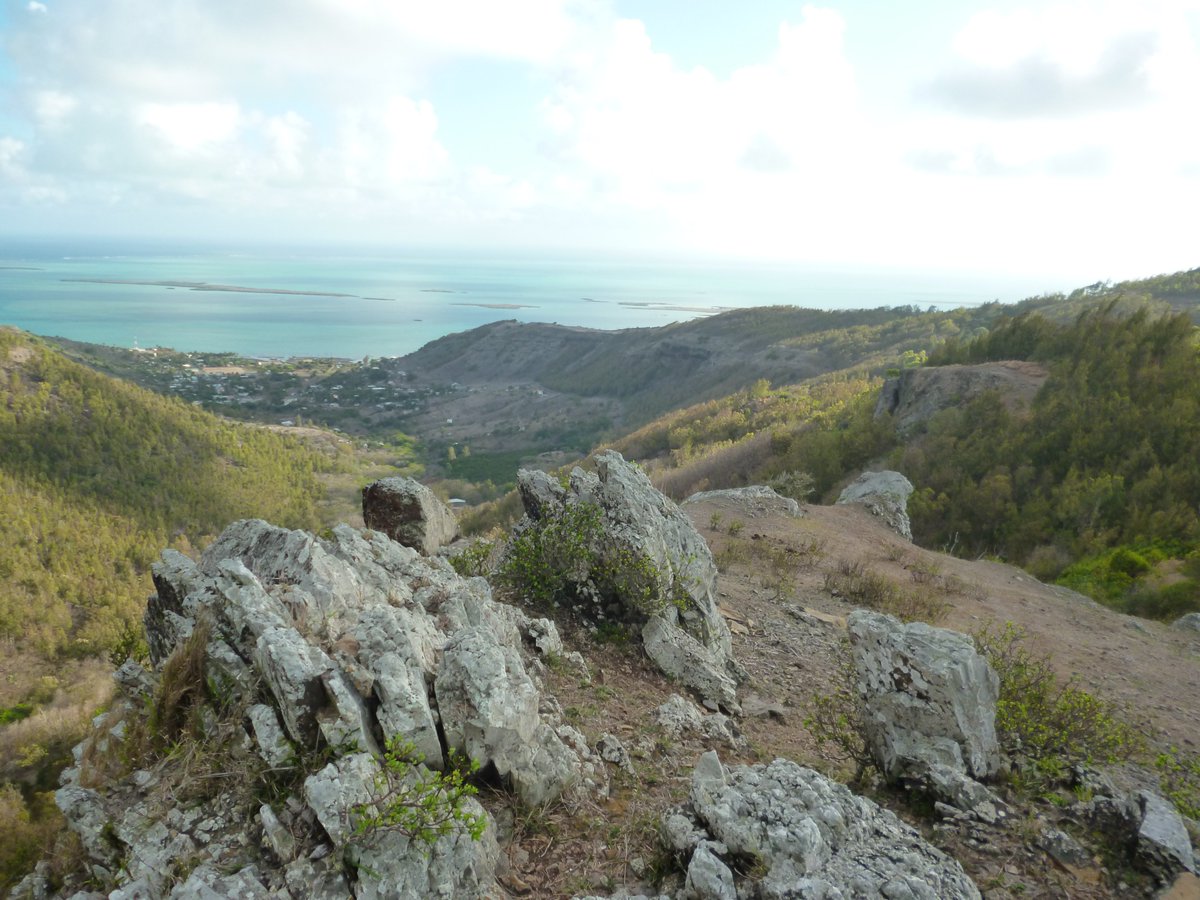Postdoctoral opening! We are looking for a researcher to work on erosional thresholds across a variety of landscapes from volcanic islands to active orogens. The project is supervised by Loraine Gourbet.
More information below ⤵️
gfz-potsdam.de/en/career/job-…