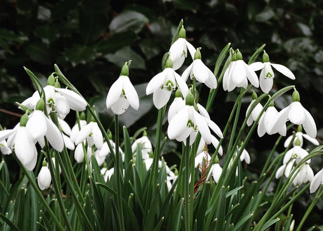 Today marks 27 years since the tragedy at Dunblane Primary. We continue to remember all the innocent victims. 16 P1 children & their teacher, Gwen Mayor, were killed that day & many more were wounded physically & emotionally. This year, & every year, they remain in our thoughts.