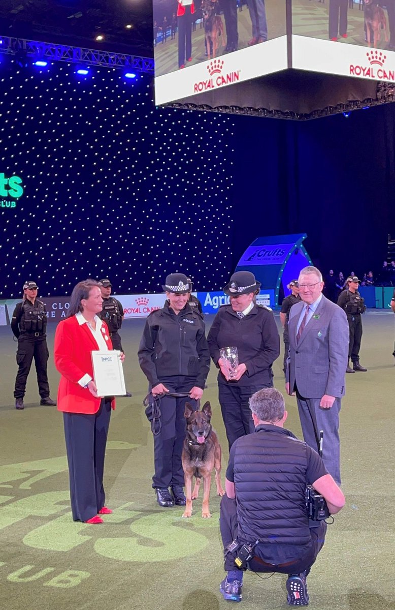 PoliceScotland's tweet photo. Big smiles! 

#PDBen and PC Fulton won @PoliceChiefs Dog Team of the Year, presented at #Crufts 🏆

The pair saved a vulnerable missing woman in South Lanarkshire, despite PC Fulton suffering a broken heel bone and torn ligaments.

Read more here: https://t.co/Iy4PioHgmi https://t.co/k8XxLT10ir