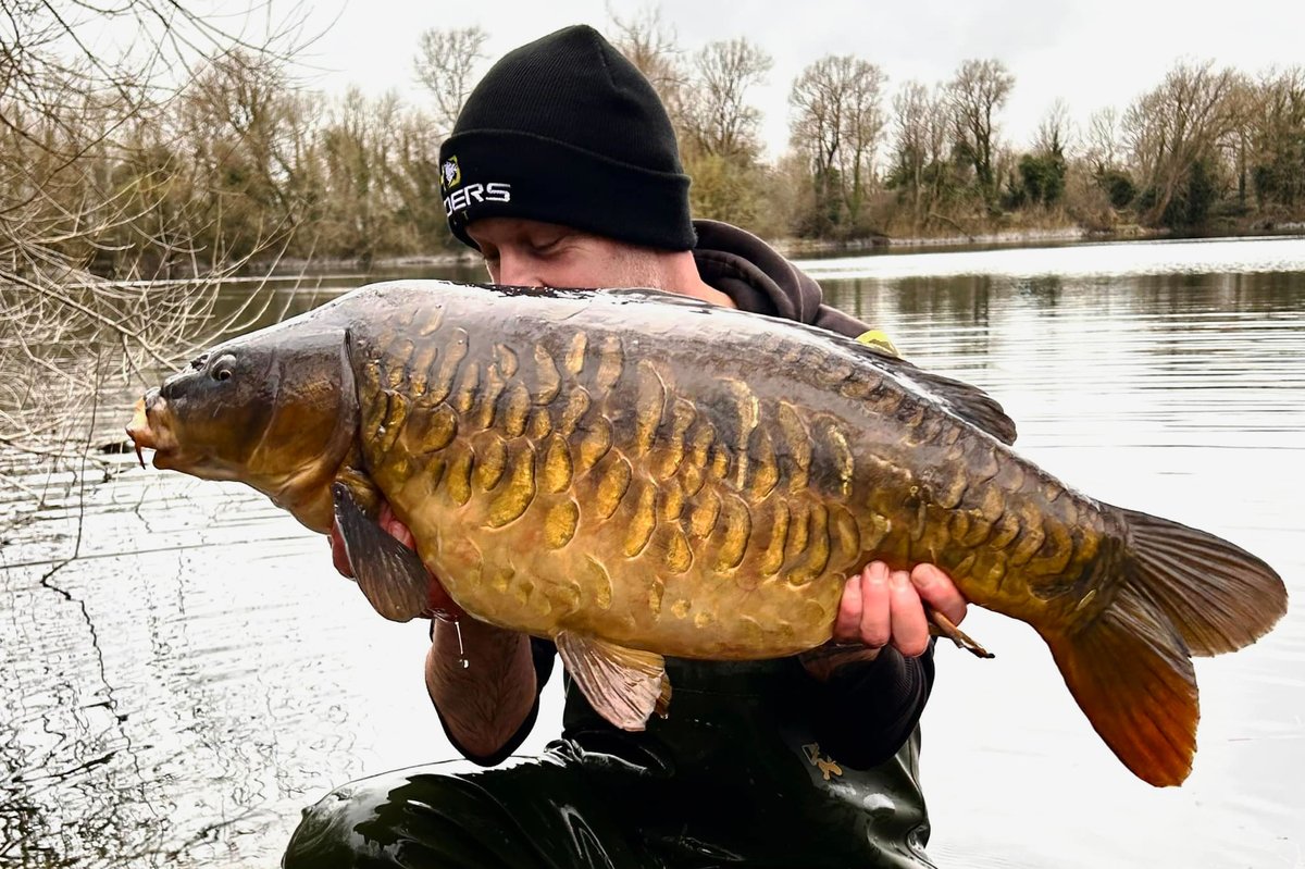 HindersFishing's tweet photo. Well what can I say been a while since I been on the bank but with the warmer conditions it felt right to get out 2hrs after getting the rods out the right hander was away with this absolute beaut of a fish going 27lb 
Aaron

#nut365  #hindersbait https://t.co/zRLLloAUtX
