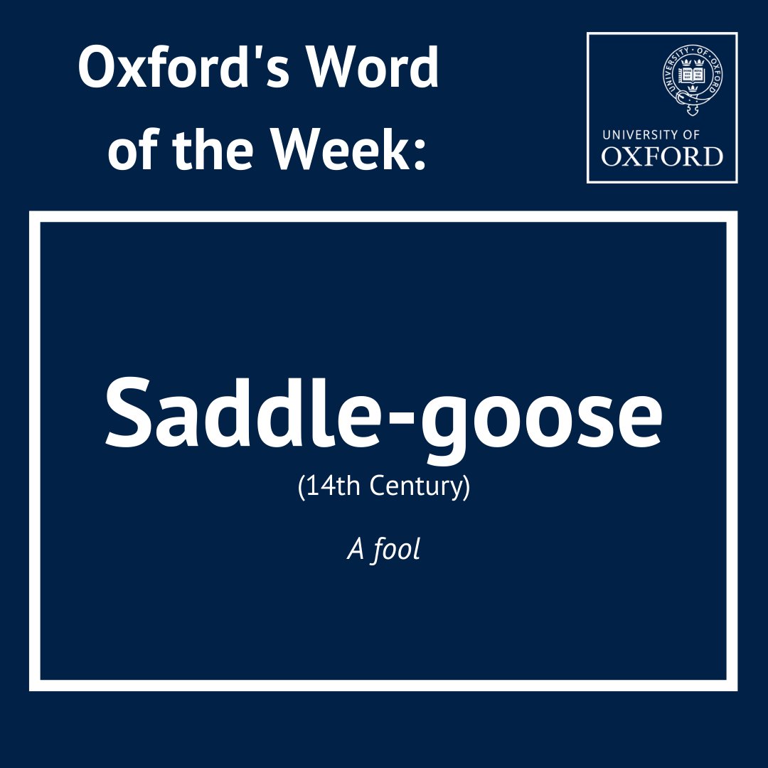 Our Oxford Word of the Week from @engfac's Prof @SCPHorobin: Saddle-goose - a fool #OxfordWOTW