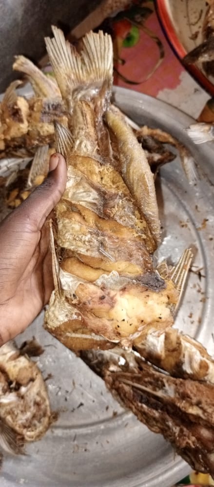 ModiMouna's tweet photo. Poisson là aussi je le commercialise 😂
Pardon retweeter pour l'homme je dois doter mon gars cette année 😩

Poisson frit Disponible 
13mil le carton 
00227 88437397 https://t.co/phiDGMyzyG