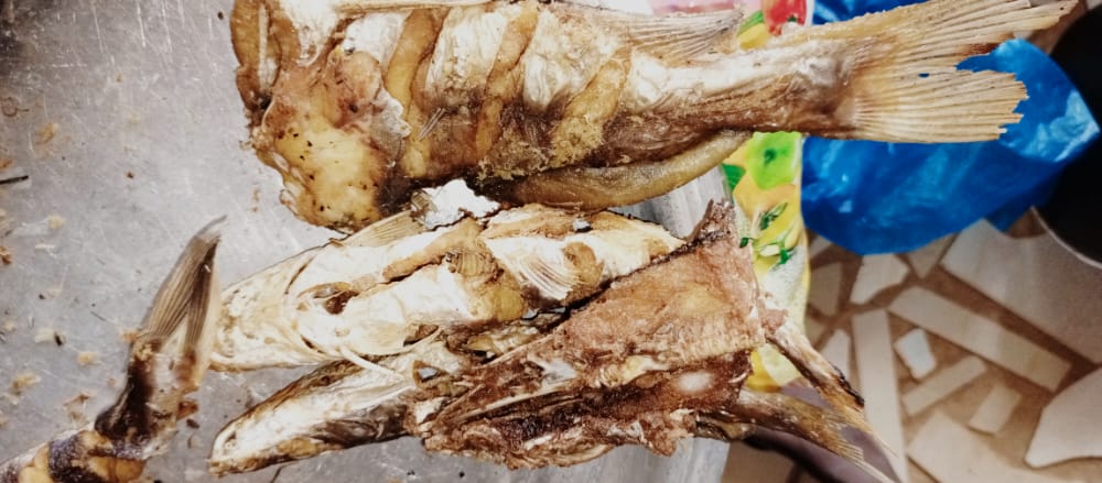 ModiMouna's tweet photo. Poisson là aussi je le commercialise 😂
Pardon retweeter pour l'homme je dois doter mon gars cette année 😩

Poisson frit Disponible 
13mil le carton 
00227 88437397 https://t.co/phiDGMyzyG