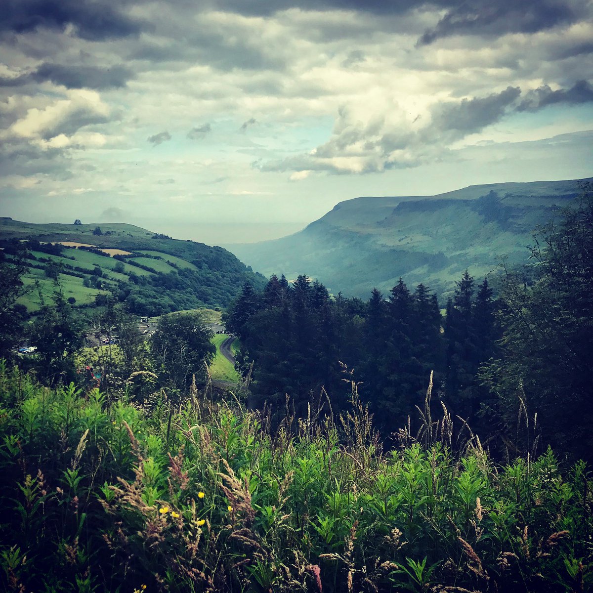 Christine Murphy tweet media