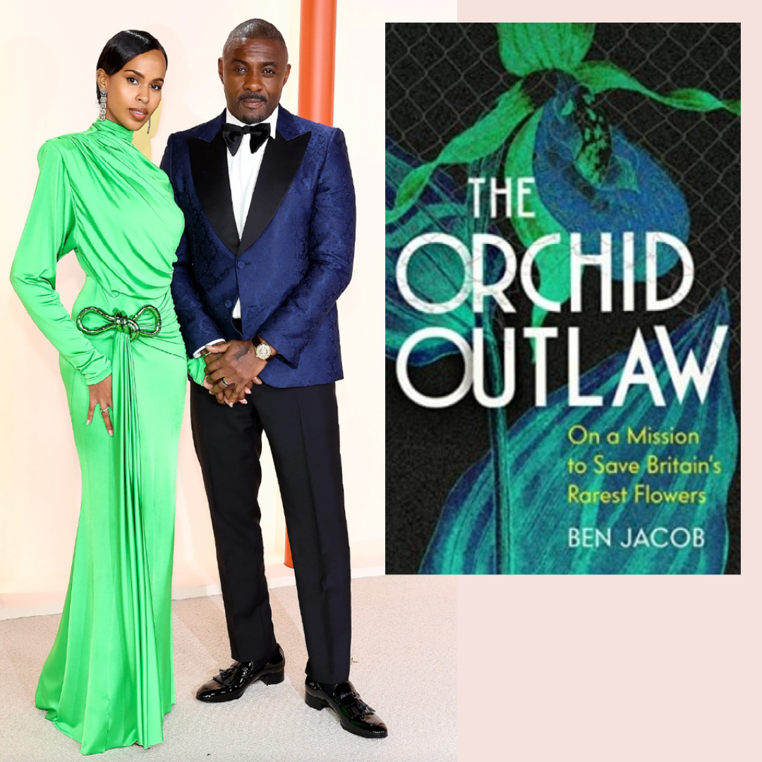 Waterstones's tweet photo. Now for the moment we've all been waiting for... Back by popular demand, here are the #Oscars red carpet #LooksToBooks, a thread: 

First up, Sabrina and @idriselba as @benjamin_writer's The Orchid Outlaw 💚

Available to pre-order here: https://t.co/qx0yPO5k3a #Oscars2023 https://t.co/DNgw4Lh2Nq