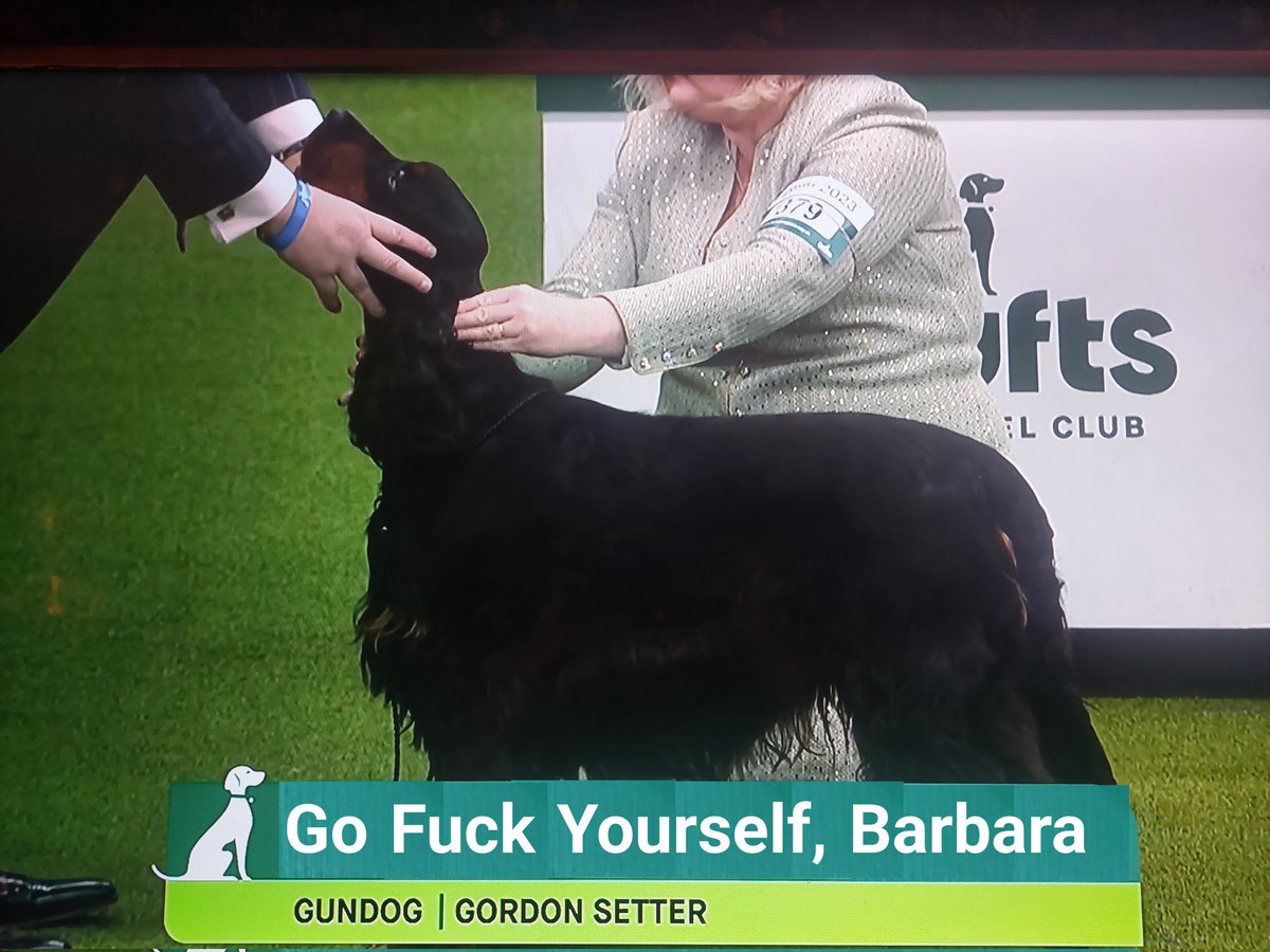 Some cracking dog names at Crufts this year