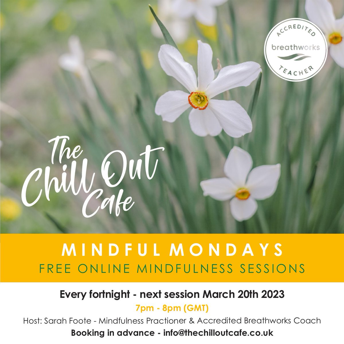 Chill_OutCafe's tweet photo. #mindfulmondays
#free Online Mindfulness Sessions
Next session: March 20th 2023

Join our free fortnightly Mindfulness sessions where we explore #Mindfulness &amp; #Meditation practices in a friendly group setting. 

#mindful #MentalHealthMatters #wellbeing #Mindfulnessmediation https://t.co/7JkRDnlSYd