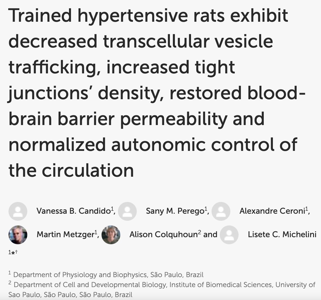 I'm very happy to share the paper result from my PhD, on #hypertensive rats, #exercise decreased #transcellularvesicles on #bloodbrainbarrier! Thanks to all co-authors! 

frontiersin.org/articles/10.33…