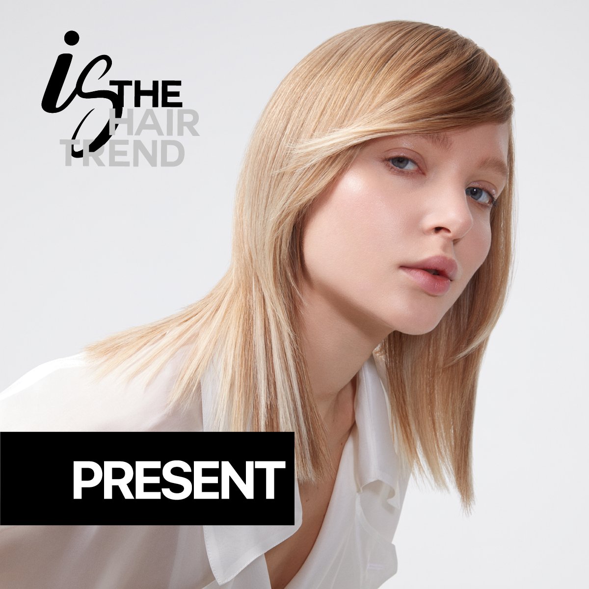 Framesi Official tweet media