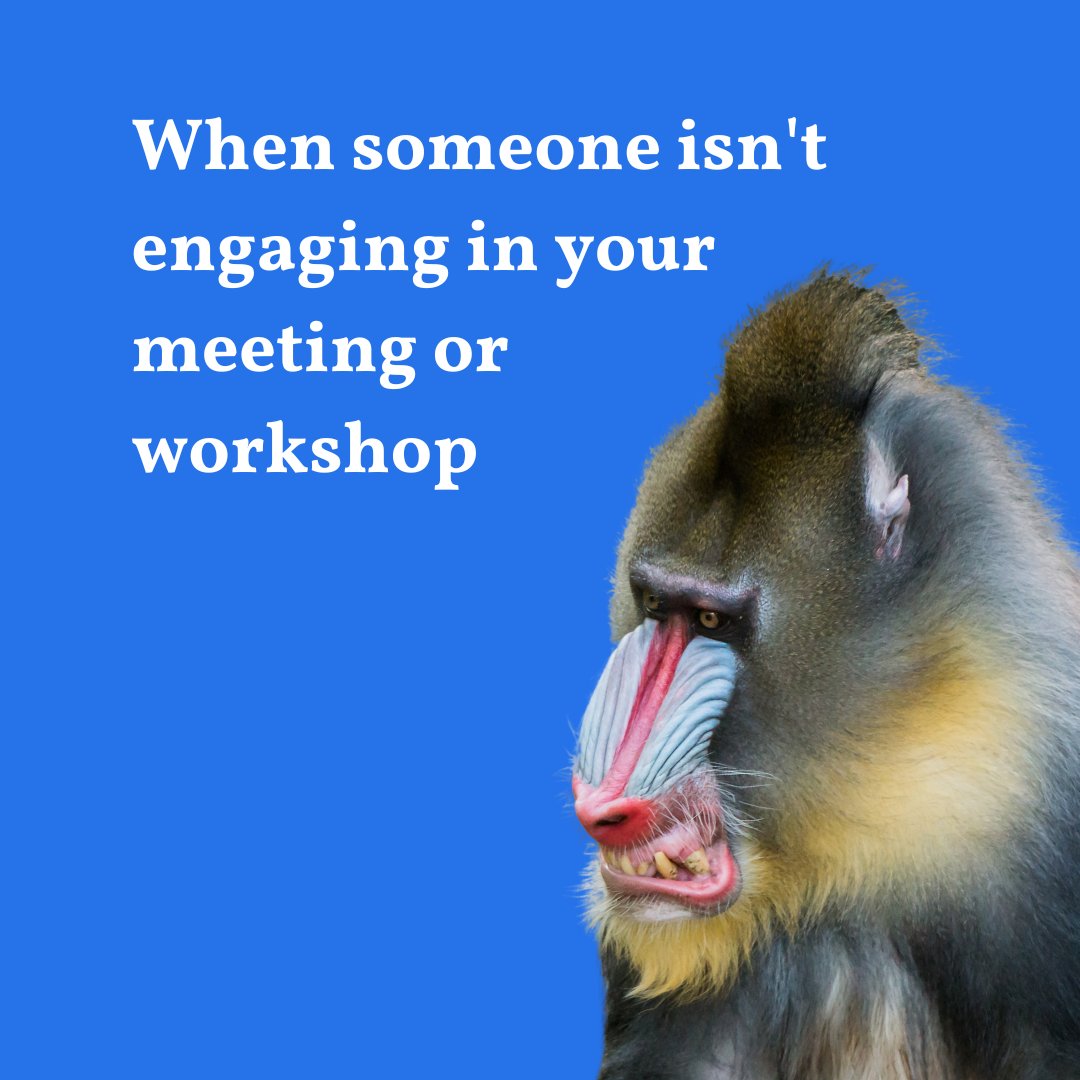 TeamSterka's tweet photo. Ever been in a meeting (or workshop) where someone is responding to emails? Answering their phone? Even trying to hurry everything along so it comes to a quicker conclusion?

You might be guilty of some of these 🤷‍♀️ https://t.co/PF13xp11em