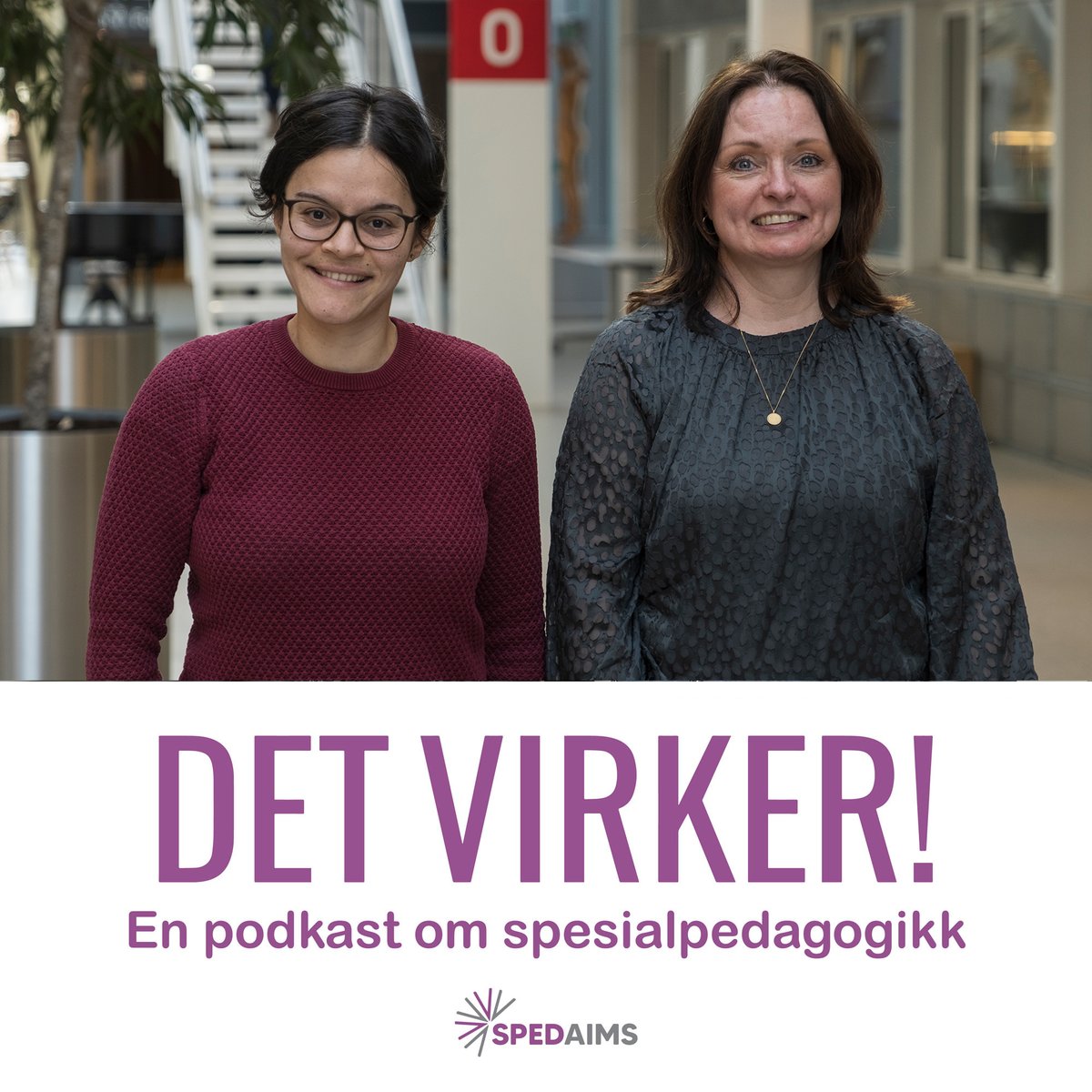 'Barnet mitt har vedtak, men får ikke #spesialundervisning - Hva gjør jeg?' Hør siste episode av Detvirker! her: linktr.ee/DetVirker
Gjester i studio: Janaina Hartveit Lie ved @uiagder og Kjersti Utnes Borgaas i @Statsforvalt_OV.