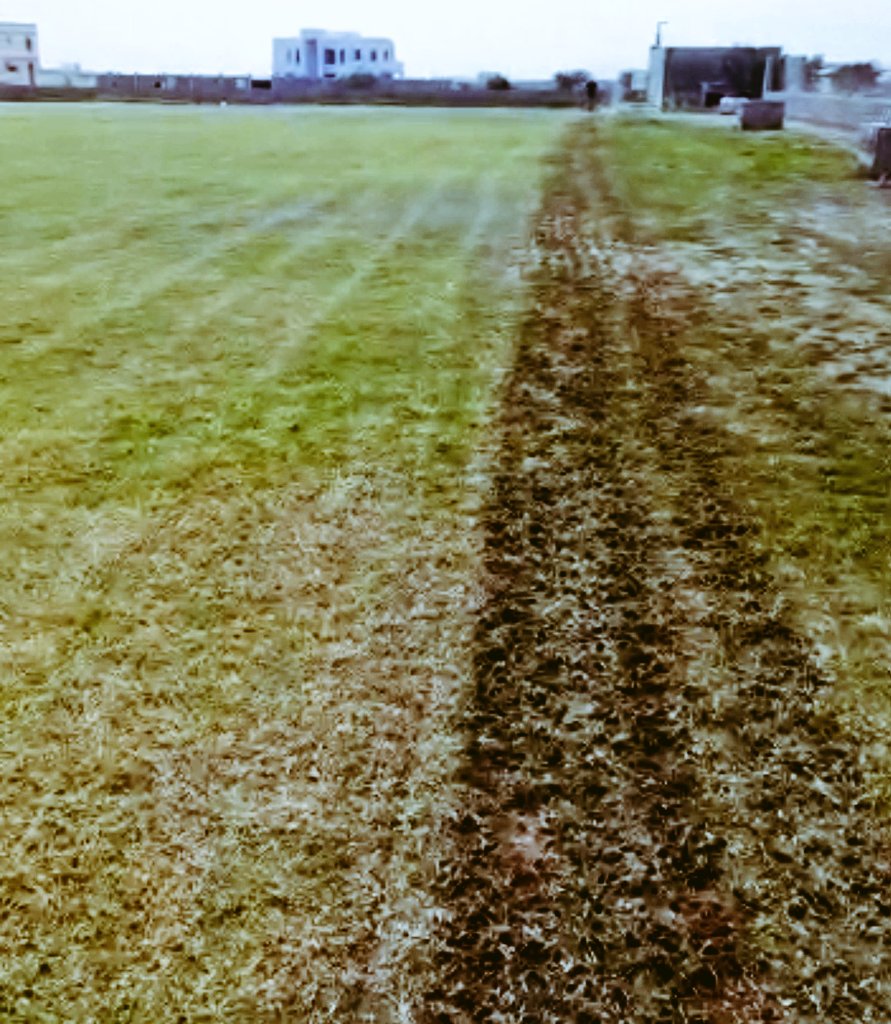 بدأ يوم أمس أعمال الصيانة بملعب الفريق، وجاء ذلك بتكليف #شركة_زهرة_للأعمال الشركة المتخصصة في مجال #صيانة_وإنشاء_الملاعب_الطبيعية.
ويشتمل عقد العمل على تنفيذ أعمال تأهيل وتوريد مواد #نظام_الري والحواجز الخارجية وتحسين أرضية الملعب واستصلاح #العشب_الطبيعي.