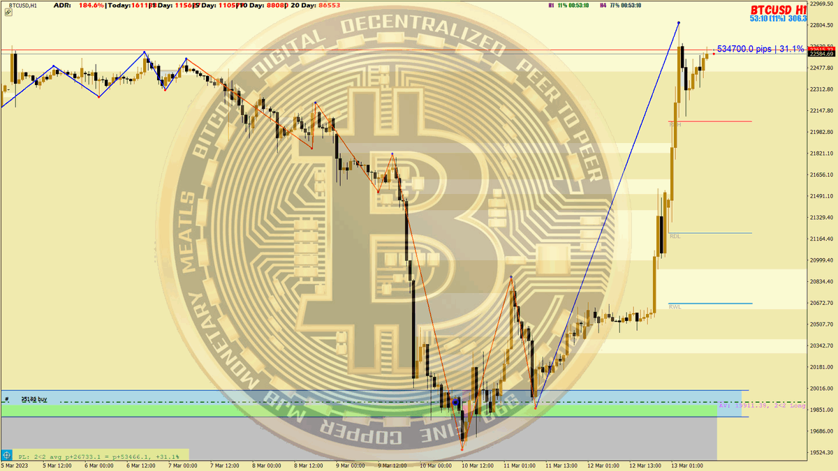 Mr.Hamster tweet media