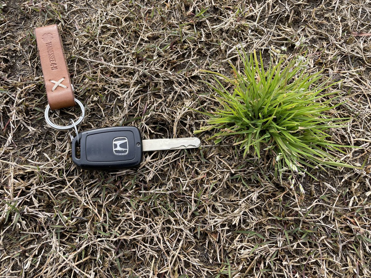 Lucas Holman tweet media