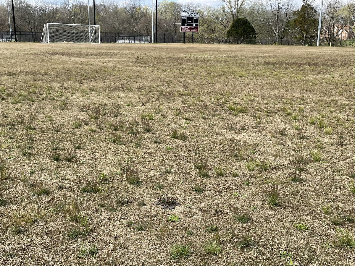 Lucas Holman tweet media