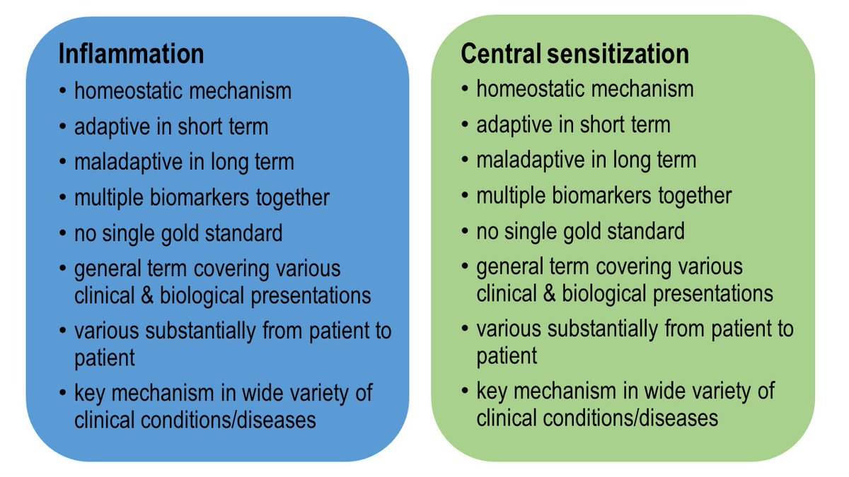 JoNijsBE's tweet image. Dear Twitter Friends, #inflammation &amp;amp; central #sensitization are 2 very different mechanisms, yet they have many things in common:👇👇