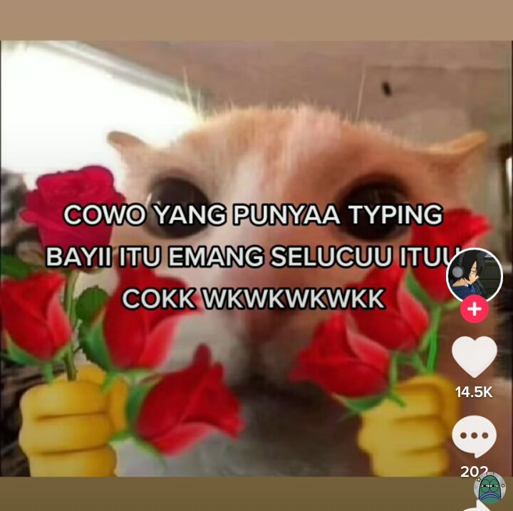 Tanyarlfes tweet media