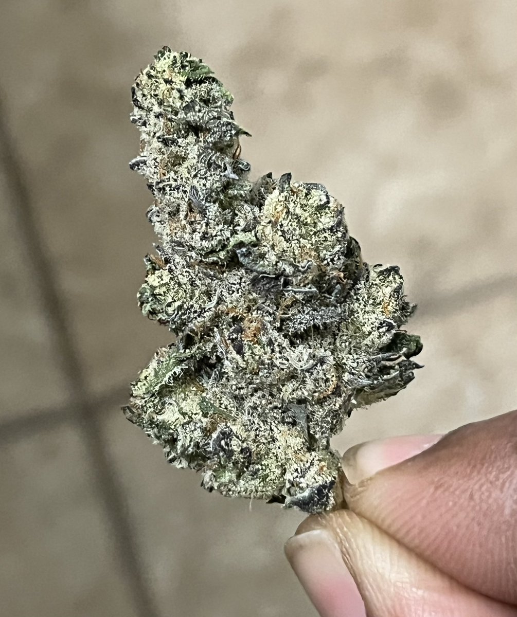 GG4 x Peanut Butter Breath = White Truffle