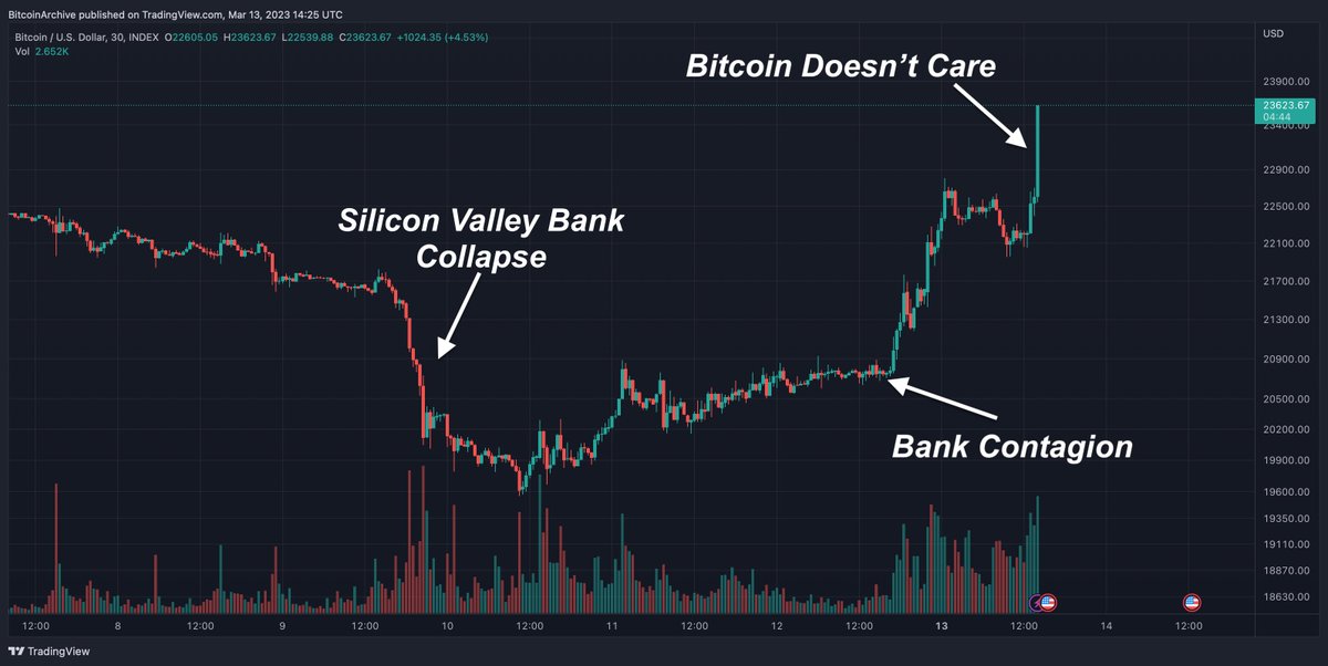 BTC_Archive's tweet image. #Bitcoin was built for this... 😎