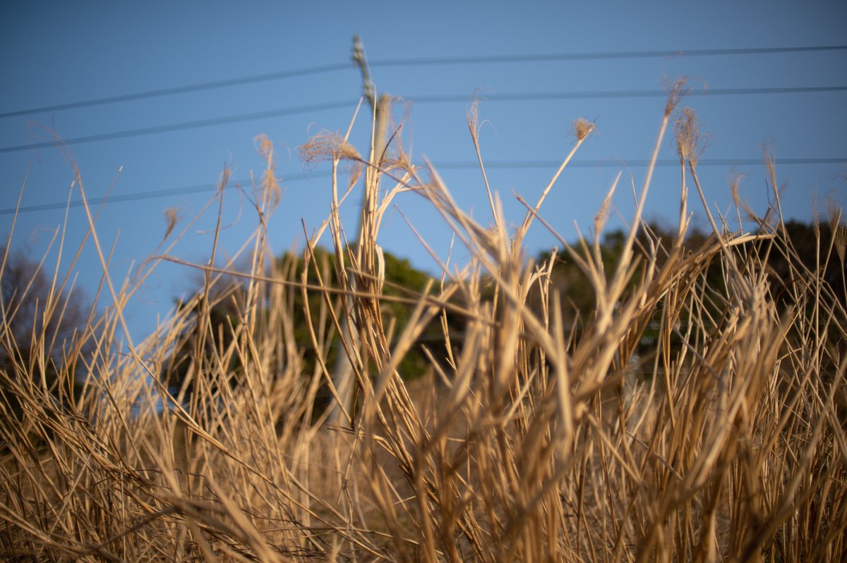 mindandsights's tweet image. vanishing point