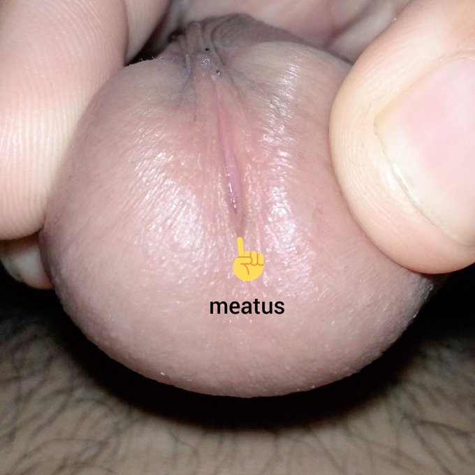 Pasok mo nga dila mo sa meatus ng mighty meaty titi ko. ??? https://t.co/a82wNlIS2y