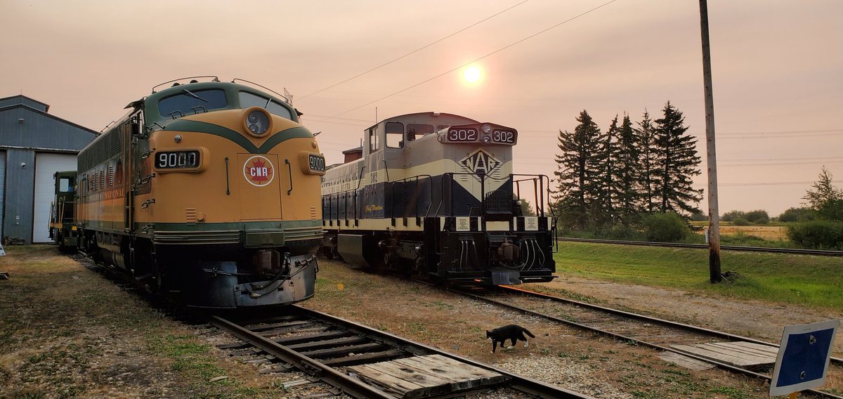 Abolish daylight savings. Trains look better in the sunrise.