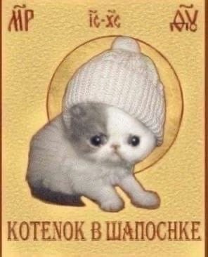 В твиттере до сих пор нет человека с ником "Котенок в шапочке" ?
Как такое может быть