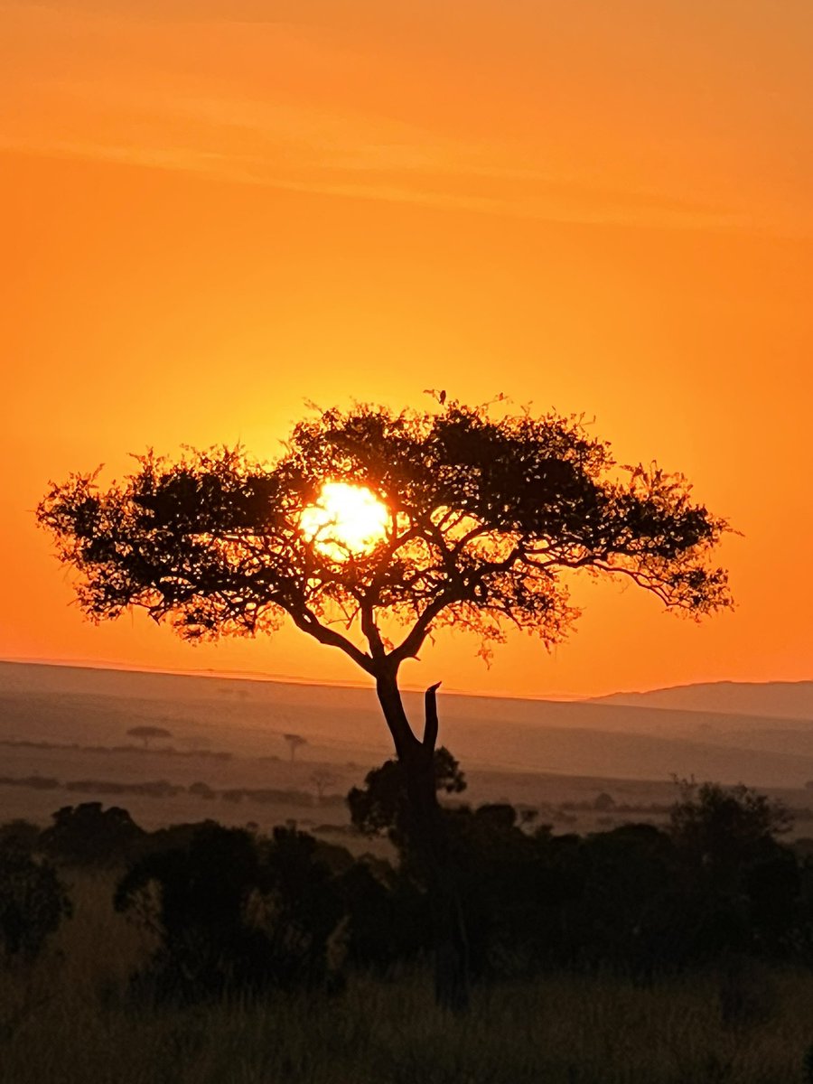 There are few things as beautiful as an African sunrise @elewana @SandRiverMara