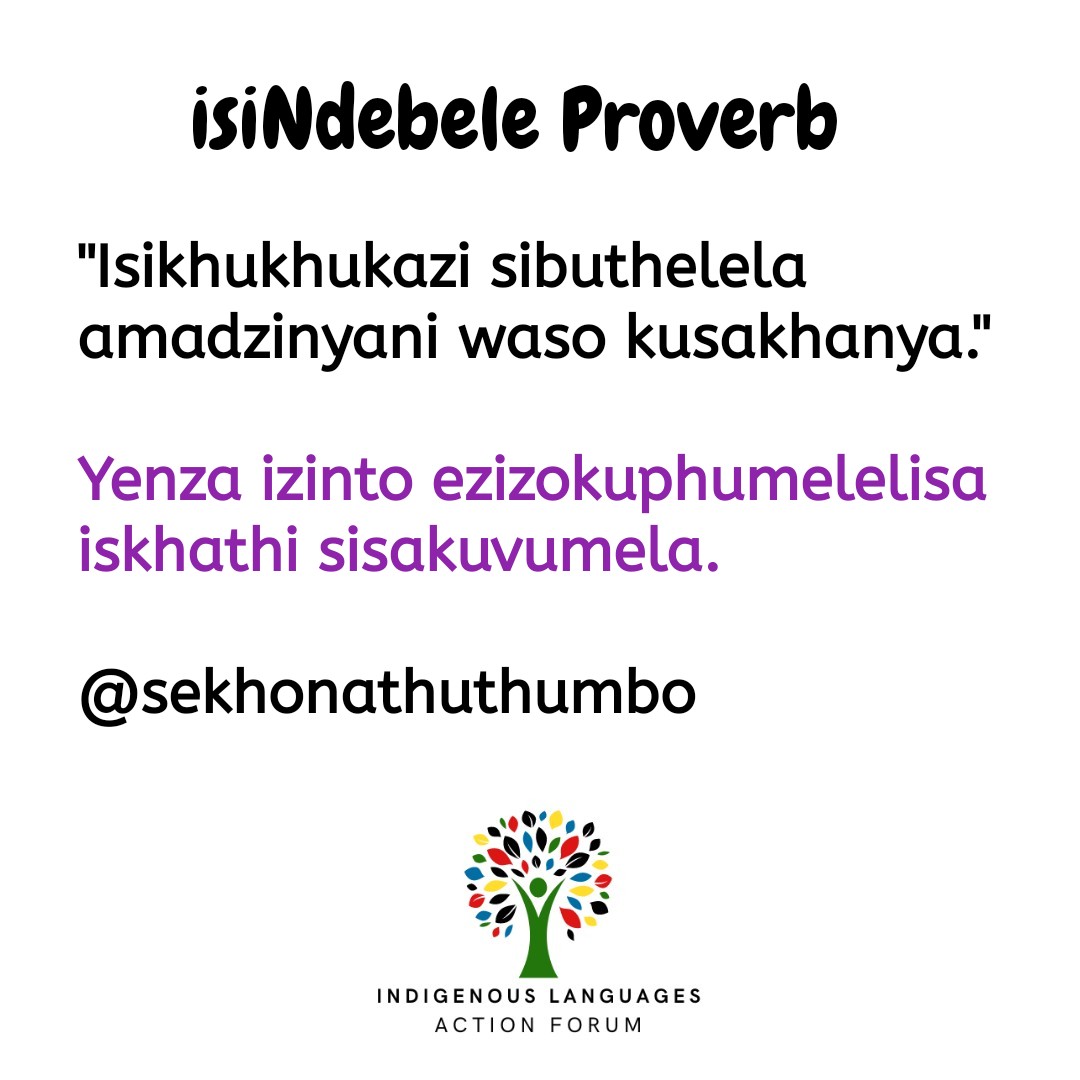 ActionLanguages's tweet photo. Amadzinyani - chicks https://t.co/S2SJAOVvNe
