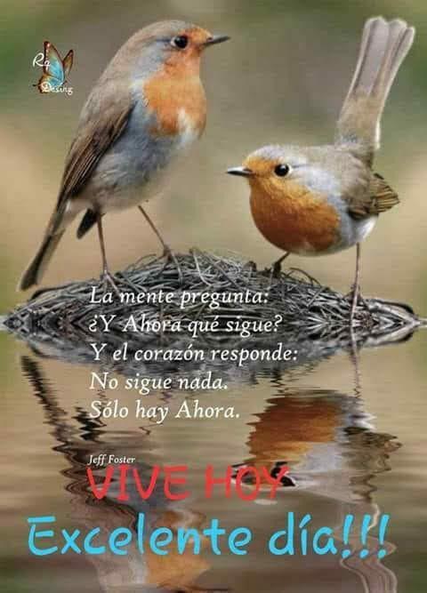 Laura (@lauraoso01) on Twitter photo 