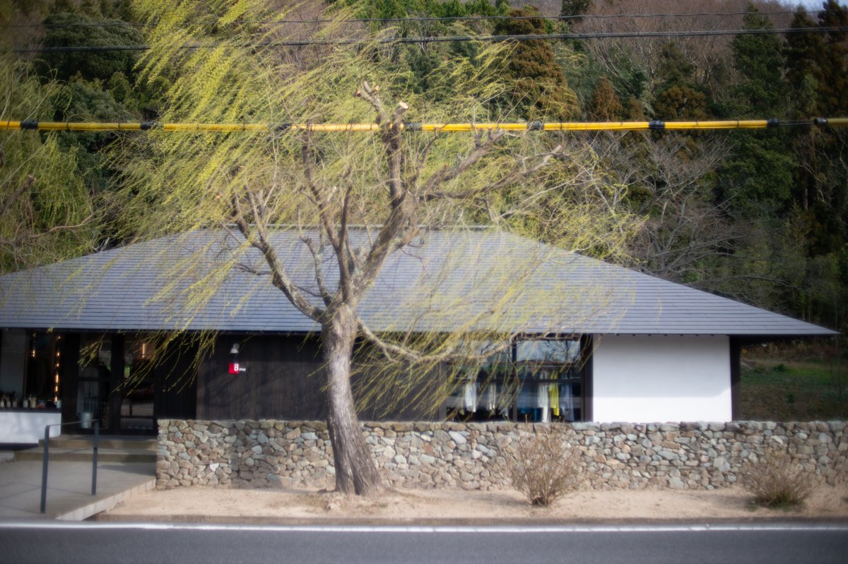 mindandsights's tweet image. vanishing point