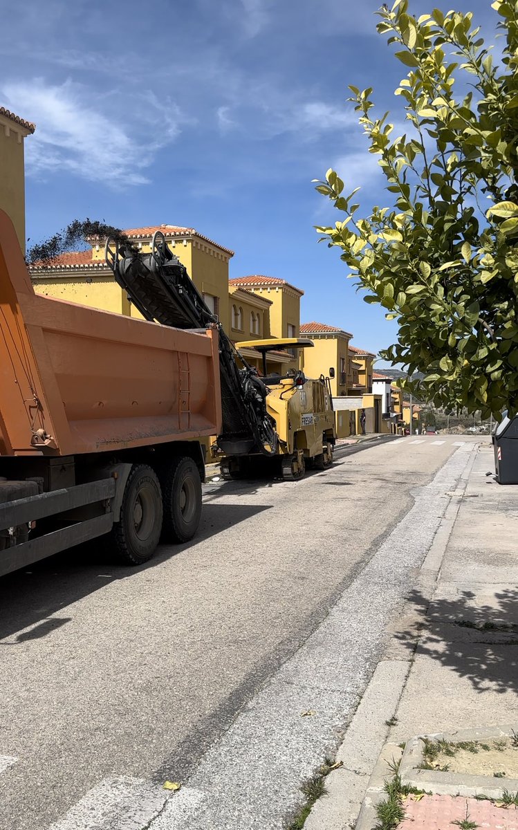 Aurora Suárez tweet media