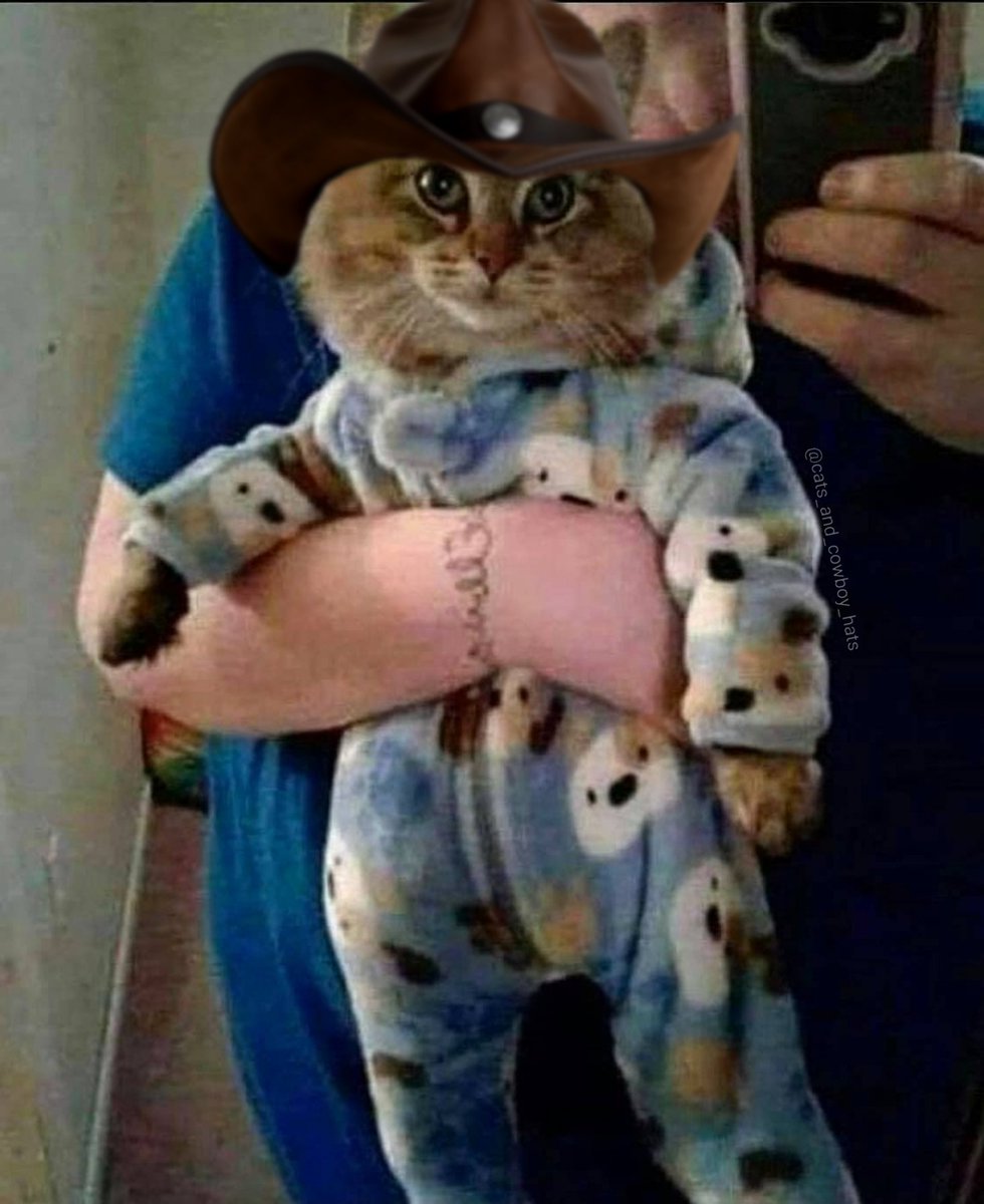 CowboyCats's tweet photo. https://t.co/fudxJKkZWM