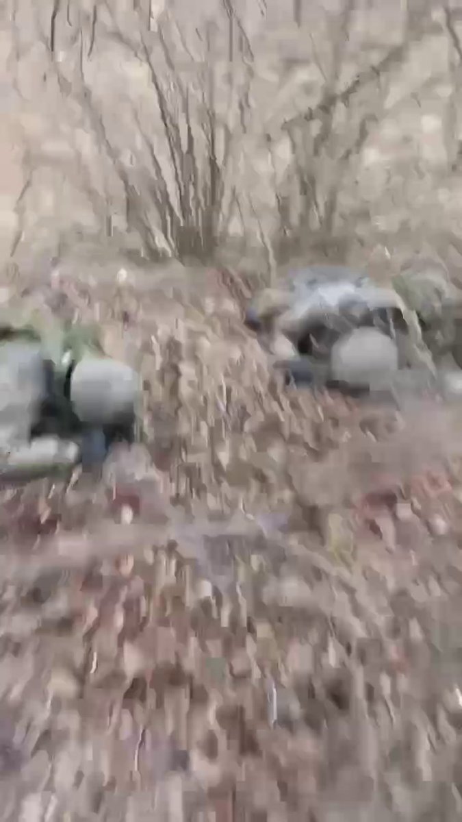 ���������� �������� ��������� �������: ����.