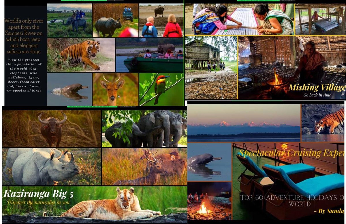 IndiainToronto's tweet photo. 25 🇨🇦travel agents attended  #DiscoverIndia series featuring multifaceted aspects of #Rivercruises #luxurytrains #wellnesssystems of @incredibleindia.CG @_apoorvasri outlined recent developments in 🇮🇳🇨🇦economic corridor that have the potential to scale up #tourism ties https://t.co/bur0yuF24e