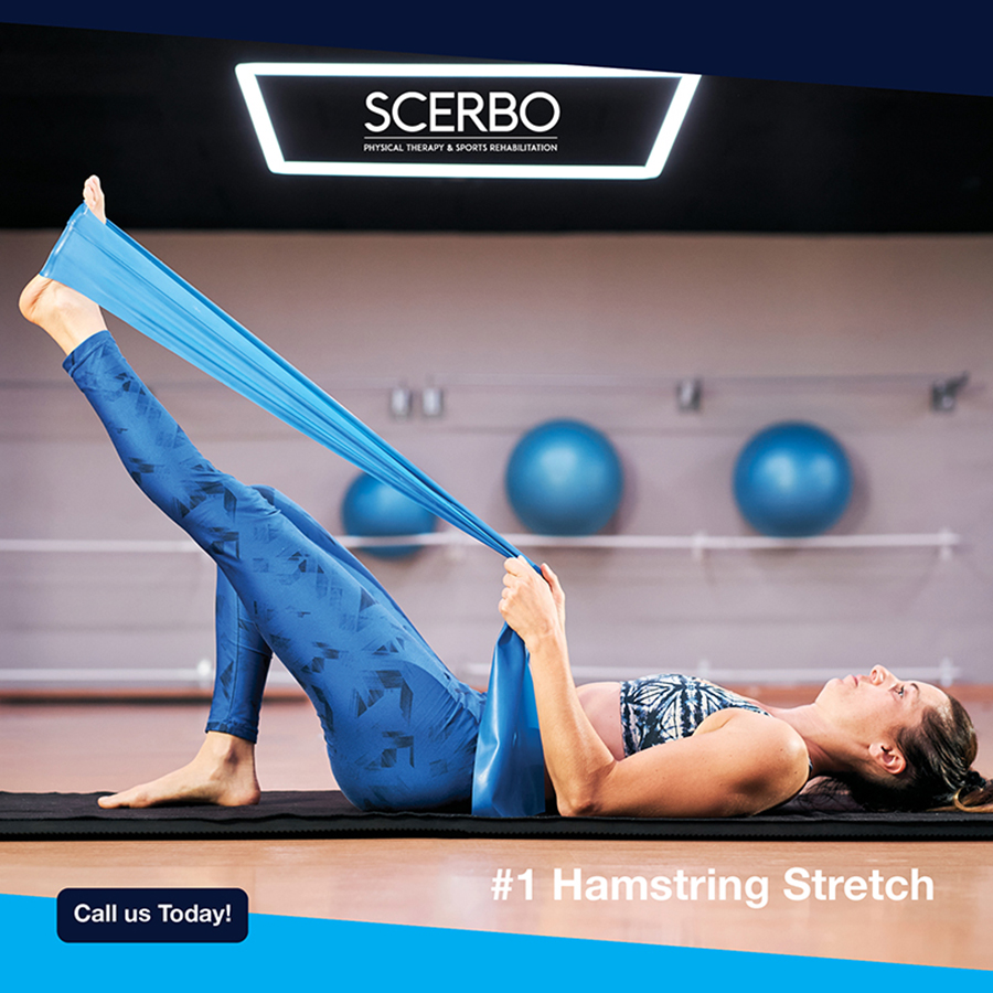 ScerboPT's tweet image. Strengthen your low back with these easy-to-do exercises that can help prevent muscle soreness and manage lower back pain. #BackPainRelief #backstrengthening #lowerbackexercise #backmusclesoreness #backinjuryprevention