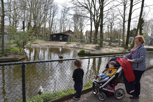 Kasteelparkborn's tweet photo. Omdat een bezoek aan Kasteelpark Born een plezier is voor jong en oud, kunnen opa en oma op zondag 26 maart met € 5,- korting een jaarkaart kopen. Ook ontvangen ze deze dag een consumptiebon voor een gratis kopje koffie als ze een jaarkaart aangevraagd hebben. https://t.co/4HVk1d9JGv