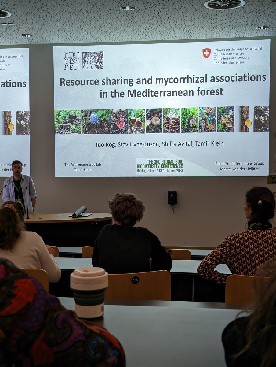 Very timely, <a href="/ido_rog/">Ido Rog</a> talking about resource exchange between trees through their mycorrhizal associations.  In a Mediterranean setting, #EMF host trees can also share with #AMF trees, but it doesn't happen the other way around! But who's in charge, fungi or tree? #GSB2023 (15/n)